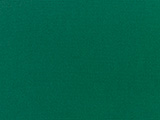 Sunbrella Forest Green (5446-0000)